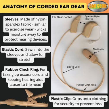 Apr 11 - Anatomy of ear gear